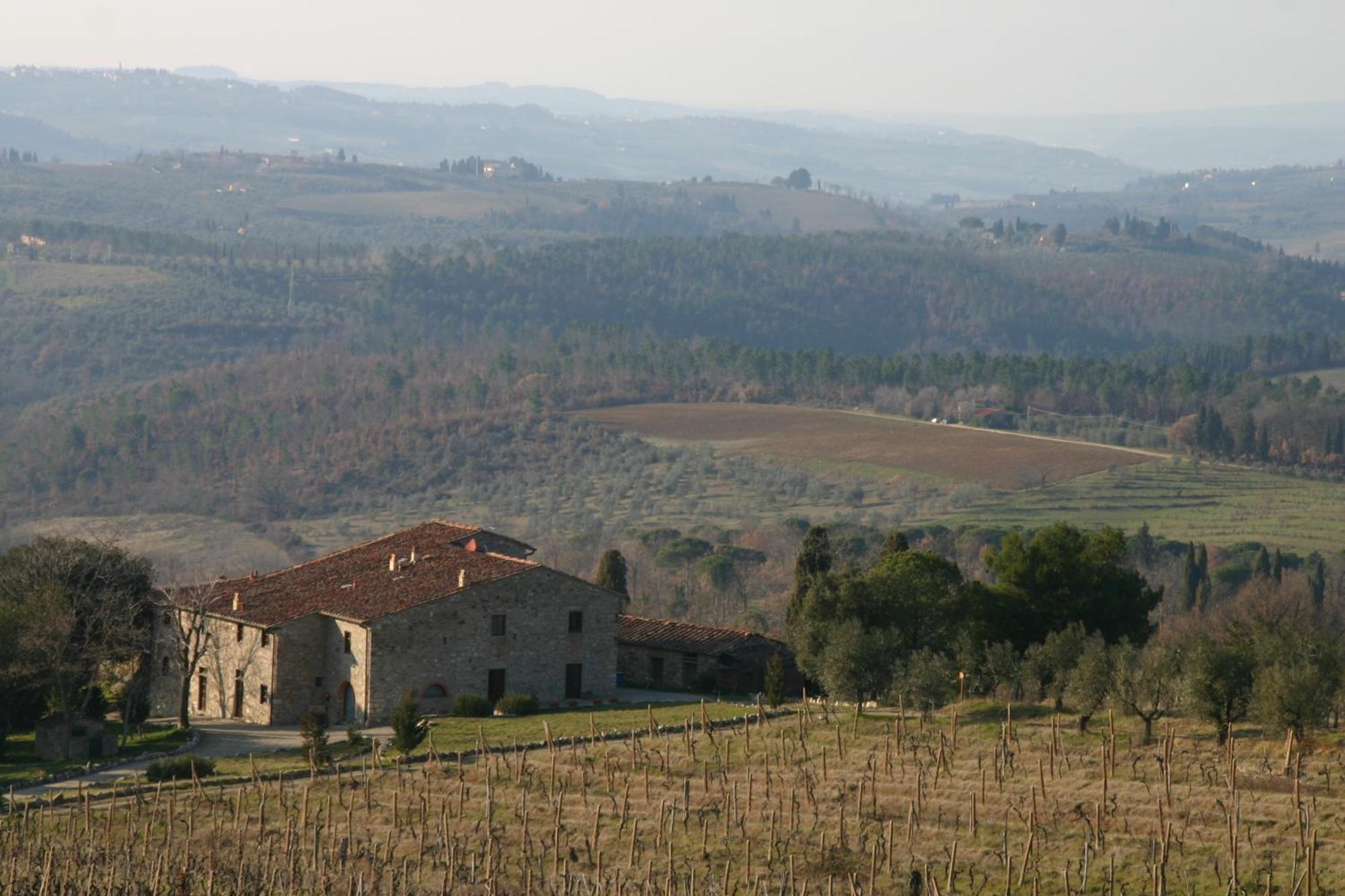 卡瓦农场乡村民宿 Mercatale Val Di Pesa 外观 照片